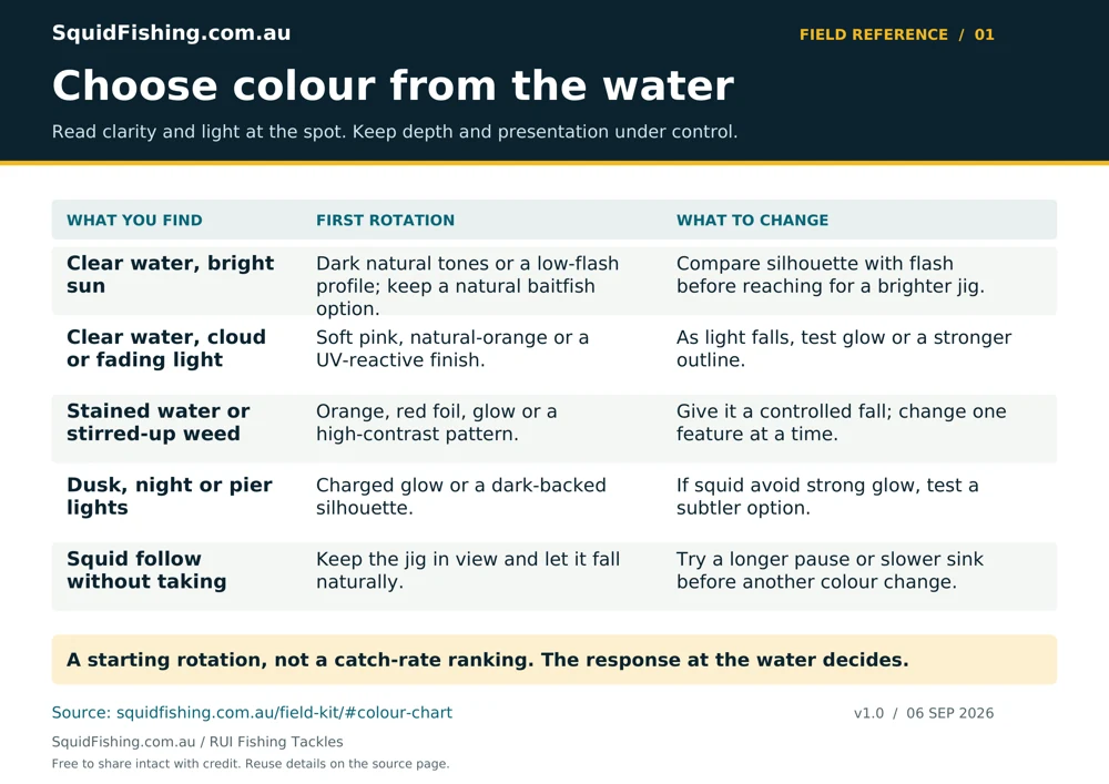 Squid jig colour by conditions. A starting rotation, not a catch-rate ranking. The response at the water decides.