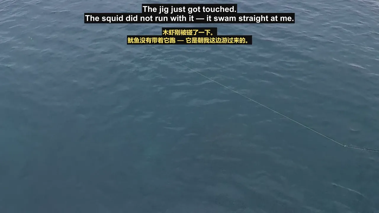 Line going slack as a squid carries the jig back toward the angler