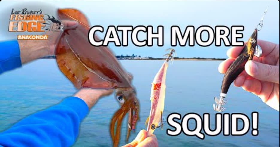 Squid jig selection for catching more squid in Australian eging conditions