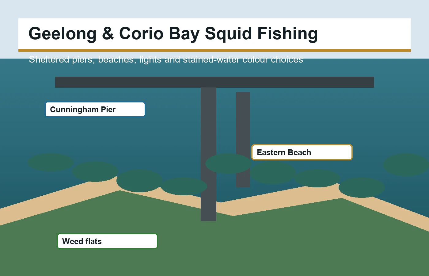 Geelong and Corio Bay squid fishing piers, beaches and weed flats